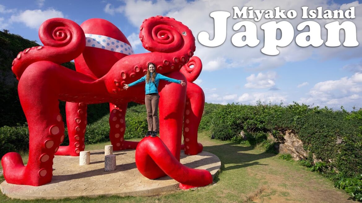 The Hunt For A Giant Octopus on a Japanese Island (in Japan!) The Hunt For A Giant Octopus on a Japanese Island (in Japan!)