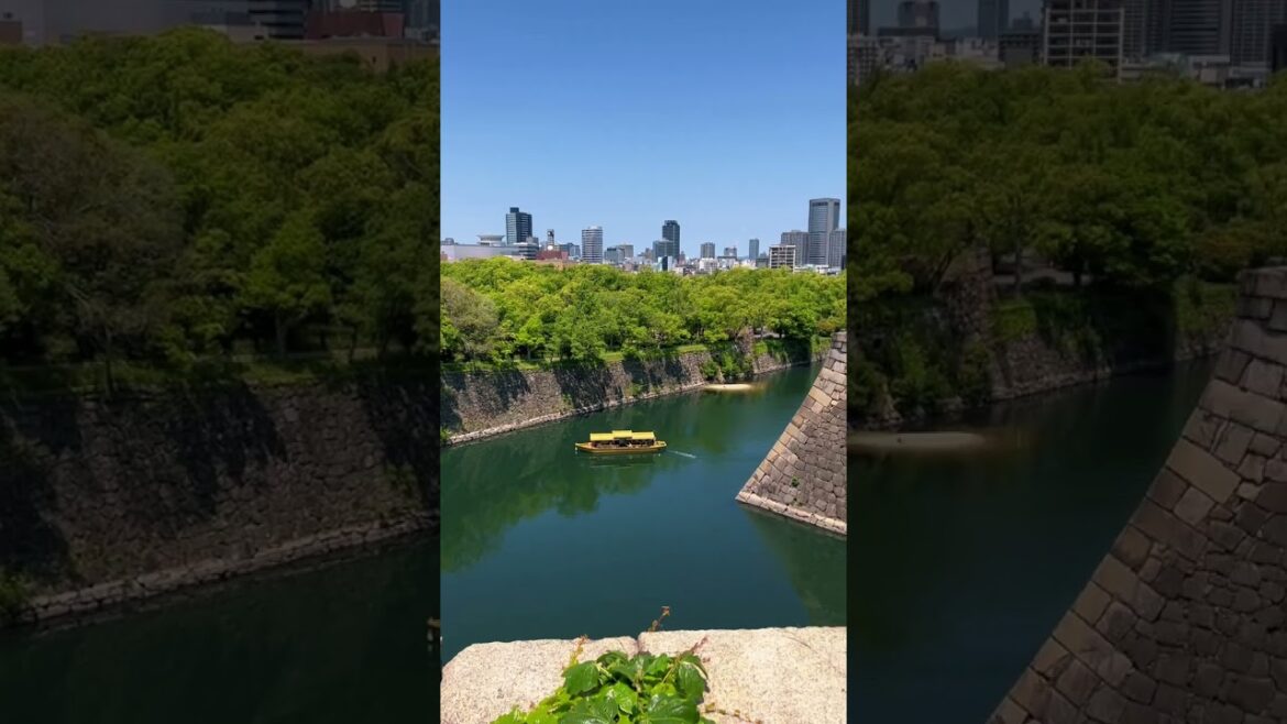 Osaka love #short #osaka #shorts #travel #vacation #explore #globetrotter #monde #shortsfeed Osaka love #short #osaka #shorts #travel #vacation #explore #globetrotter #monde #shortsfeed