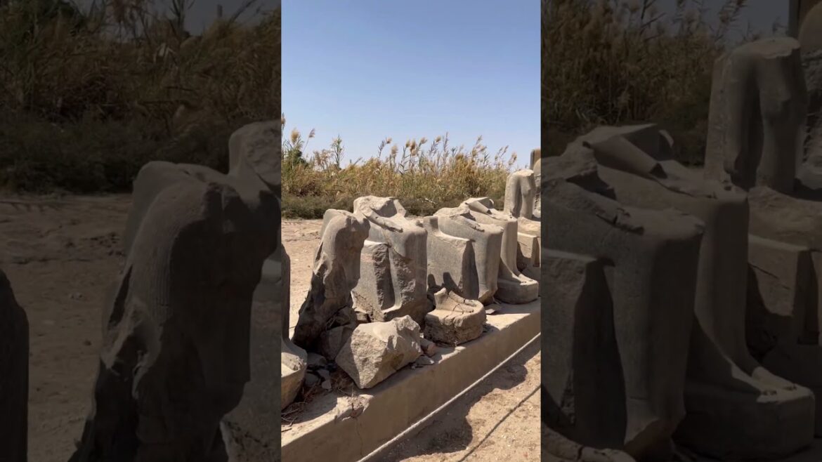 Graveyard of Megalithic Statues