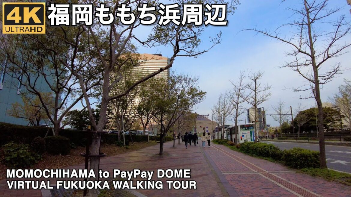 福岡百道浜からドーム4k virtual Fukuoka walking tour from Momochihama to PayPay Dome 福岡百道浜からドーム4k virtual Fukuoka walking tour from Momochihama to PayPay Dome