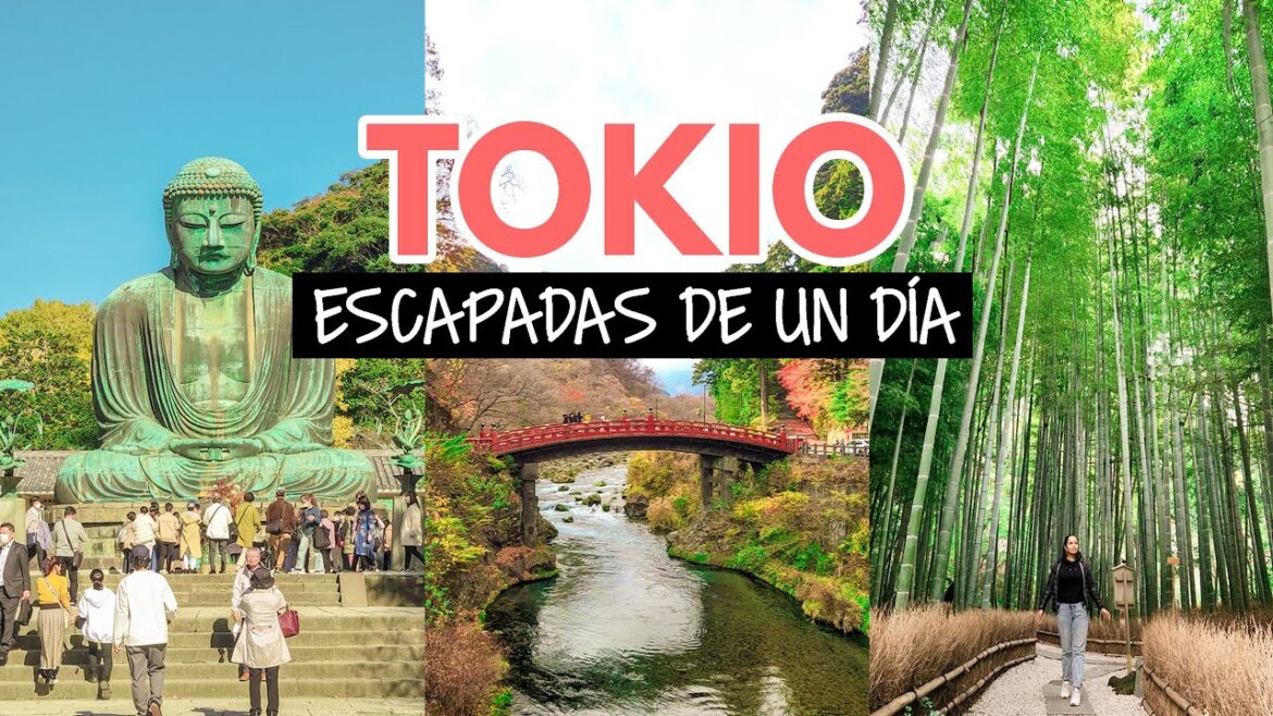 Escapadas de un día desde Tokio en tren Escapadas de un día desde Tokio en tren