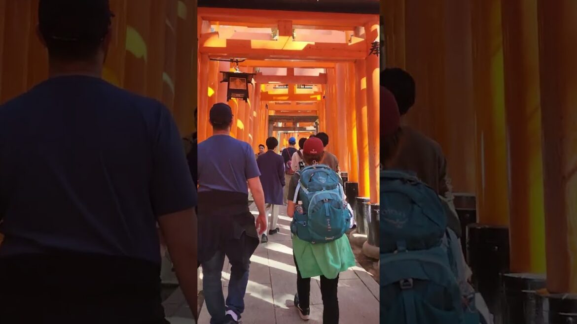 #kyoto #kyototemple #torii #japan #short #kyoto #kyototemple #torii #japan #short