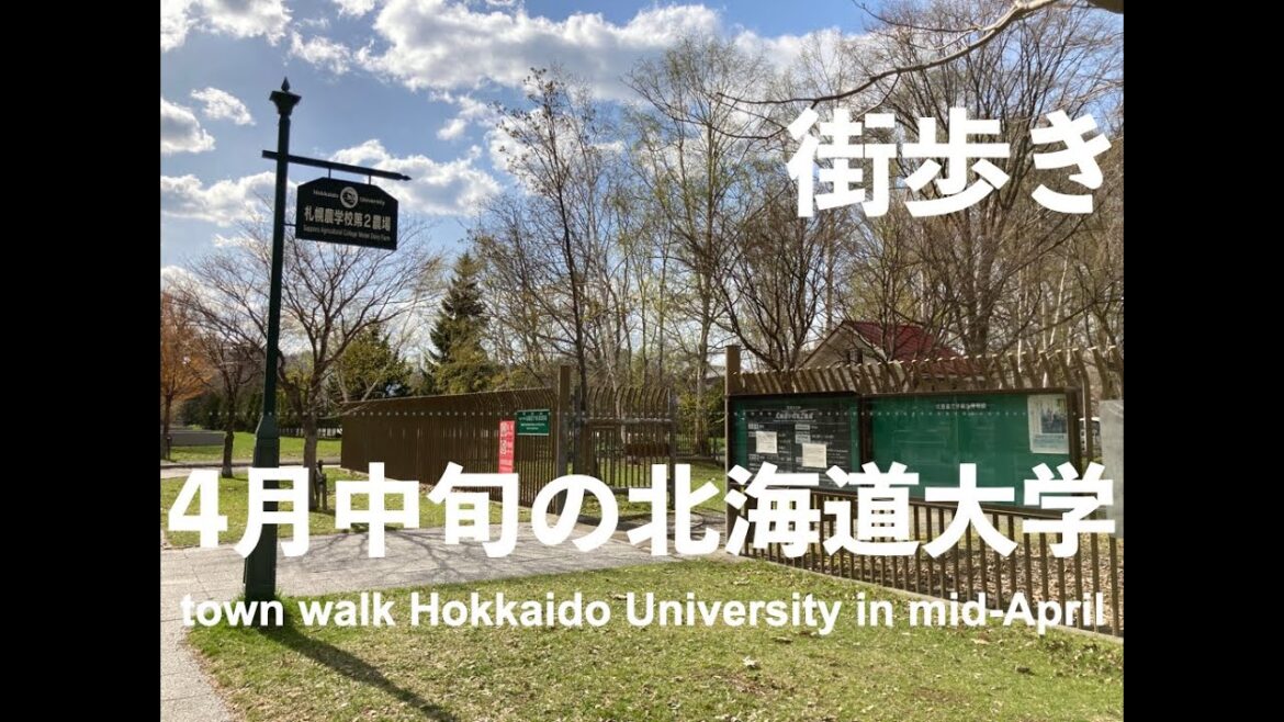 town walkHokkaido University in mid-April【4月中旬の北海道大学】街歩き/北海道/札幌/北大/散歩/観光/Hokkaido/Sapporo/travel town walkHokkaido University in mid-April【4月中旬の北海道大学】街歩き/北海道/札幌/北大/散歩/観光/Hokkaido/Sapporo/travel