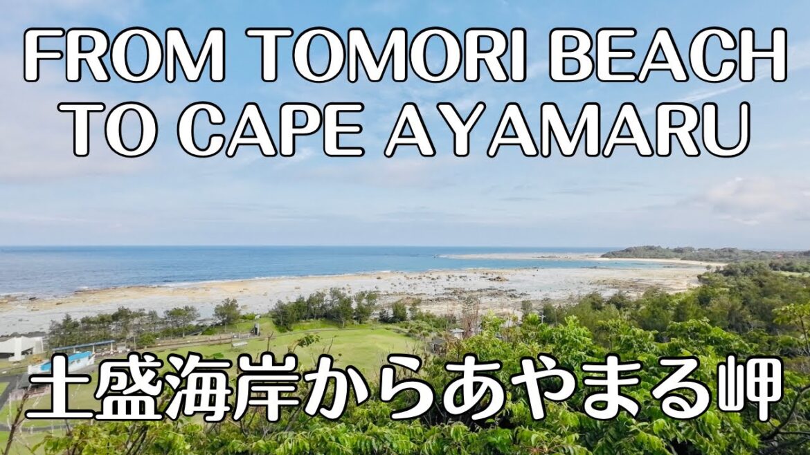 【4K】Walking from Tomori Beach to Cape Ayamaru | Amami Oshima | Japan