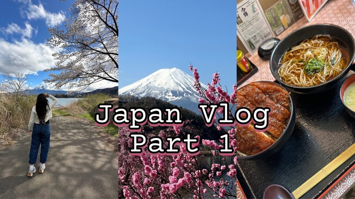 Japan Vlog- Tokyo / Nikko / Karuizawa / Kawaguchico DRIVE Trip :) 💗