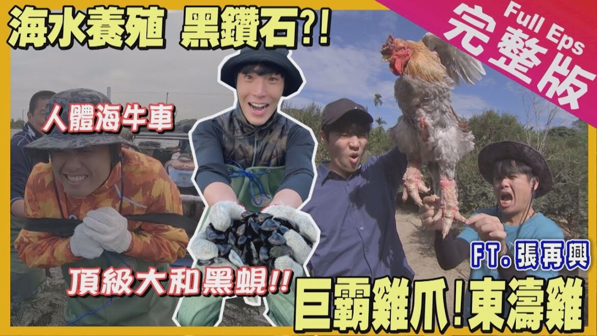 【中台灣】大來賓張再興｜甩尾王現身/全球最大&最小的雞/養生極品黑蜆/失傳手藝雞毛撢子《世界第一等》1096集 完整版 Taiwan EP. 1096EngSub