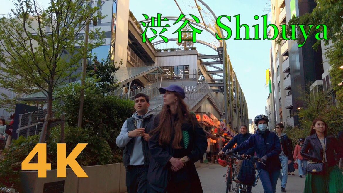 【4k】Tokyo walk-Shibuya🐶渋谷を散歩