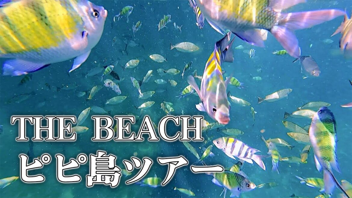 【ピピ島ツアー】ロイヤルプーケットマリーナから出航/バンブー島/ピピ・ドン島/モンキービーチ/ピピ・レイ島/映画”The Beach”の舞台マヤベイ/美しい海をシュノーケリング 【ピピ島ツアー】ロイヤルプーケットマリーナから出航/バンブー島/ピピ・ドン島/モンキービーチ/ピピ・レイ島/映画"The Beach"の舞台マヤベイ/美しい海をシュノーケリング