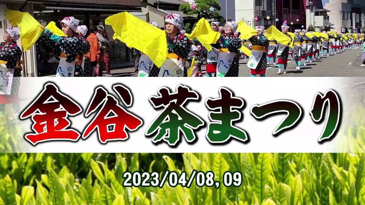 金谷茶まつり（島田市金谷）｜HTC ドライブ観光スポット