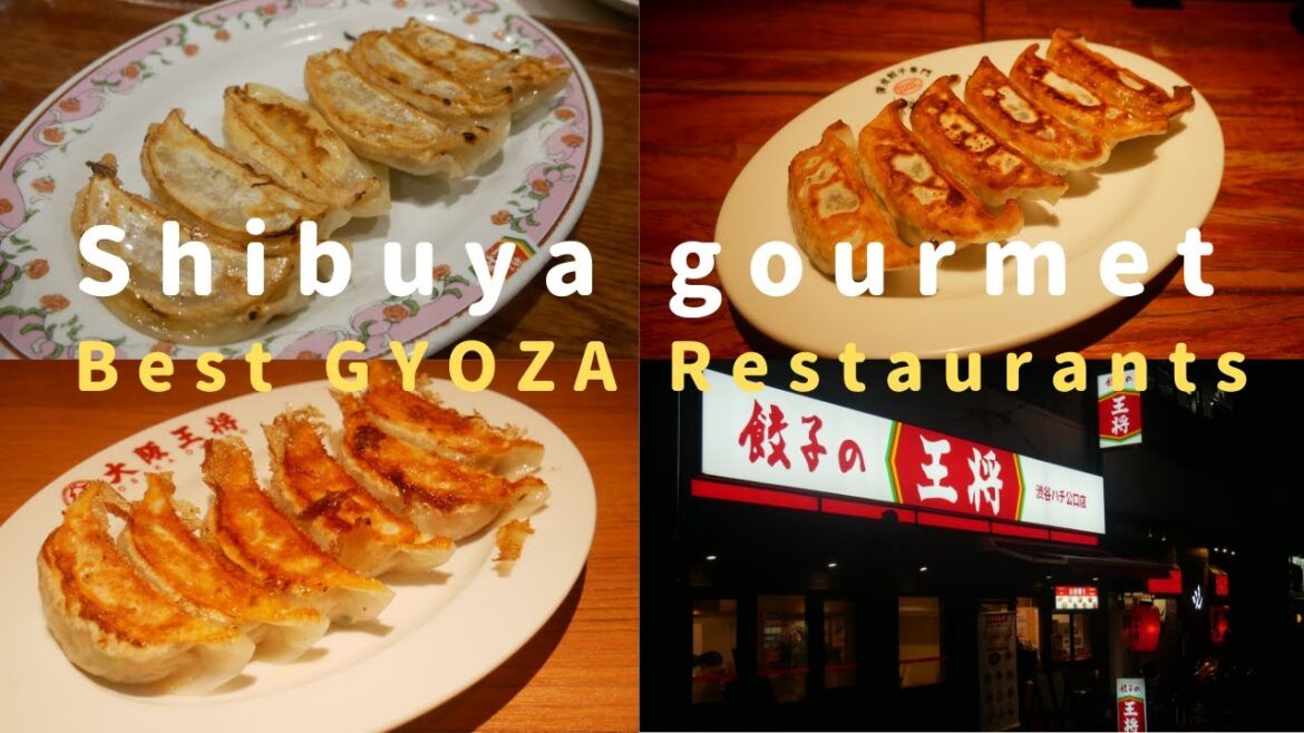 BEST GYOZA Restaurants in Shibuya!
