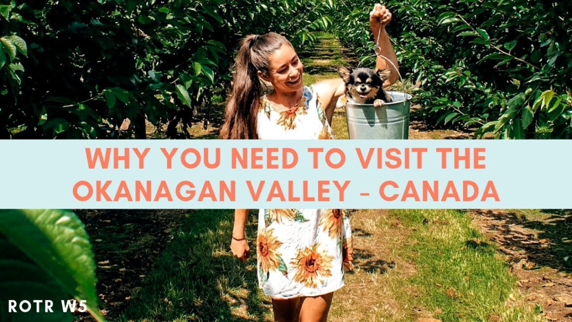 1 WEEK IN THE OKANAGAN VALLEY | CHERRY ORCHARD & FLOATING THE PENTICTON CHANNEL | ROTR Week 5