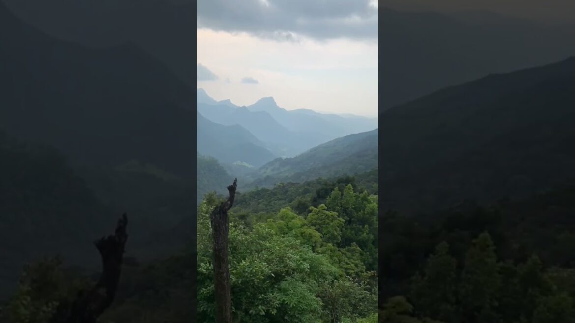 #shorts 💕👆 travel places in sri lanka #youtubeshorts #shorts 💕👆 travel places in sri lanka #youtubeshorts