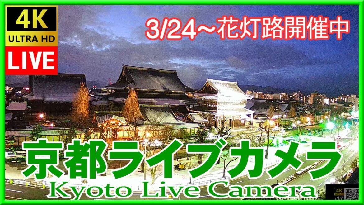 京都ライブカメラ 東本願寺 (KYOTO JAPAN LIVE CAMERA) 森信三郎商舗から生中継 即時影像 紅葉 livecam 銀杏 2023/04/17 0:00～