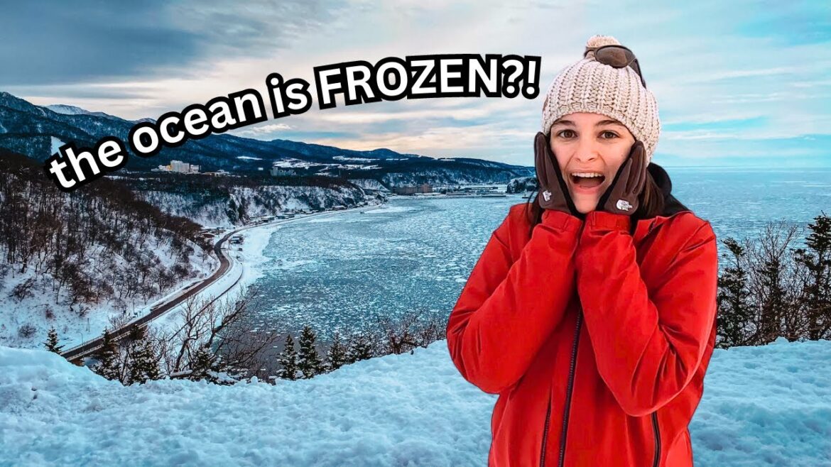 Japan’s Hidden North: The Ultimate Hokkaido Winter Road Trip (Kushiro & Shiretoko) Japan's Hidden North: The Ultimate Hokkaido Winter Road Trip (Kushiro & Shiretoko)