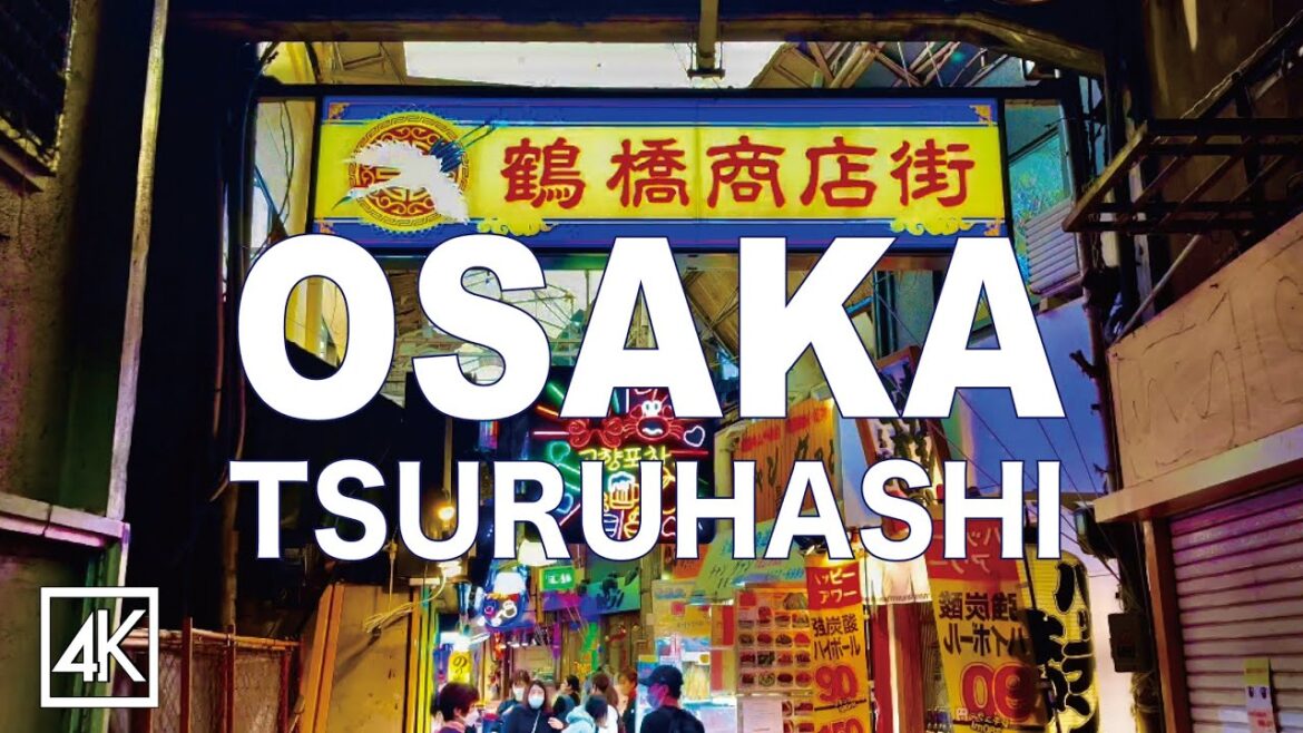 大阪コリアタウン鶴橋商店街散歩 4K KOREA TOWN OSAKA TSURUHASHI SHOPPING STREET ASMR 大阪コリアタウン鶴橋商店街散歩 4K KOREA TOWN OSAKA TSURUHASHI SHOPPING STREET ASMR