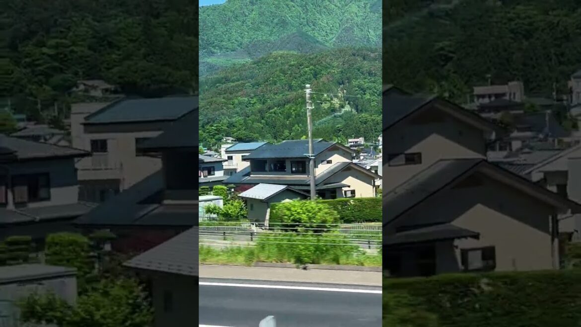 #short #japan #japanese #shorts #travel #vacation #explore #globetrotter #monde #voyage
