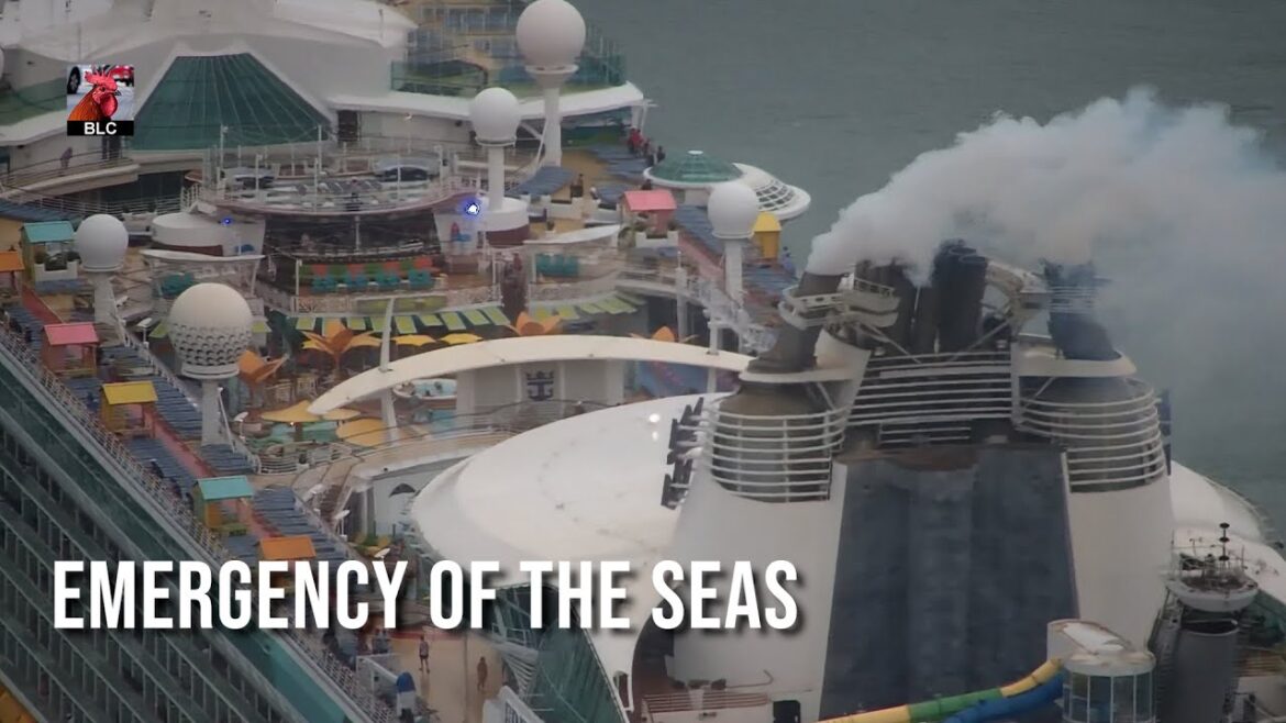 Freedom of the Seas Emergency Stop Port Miami