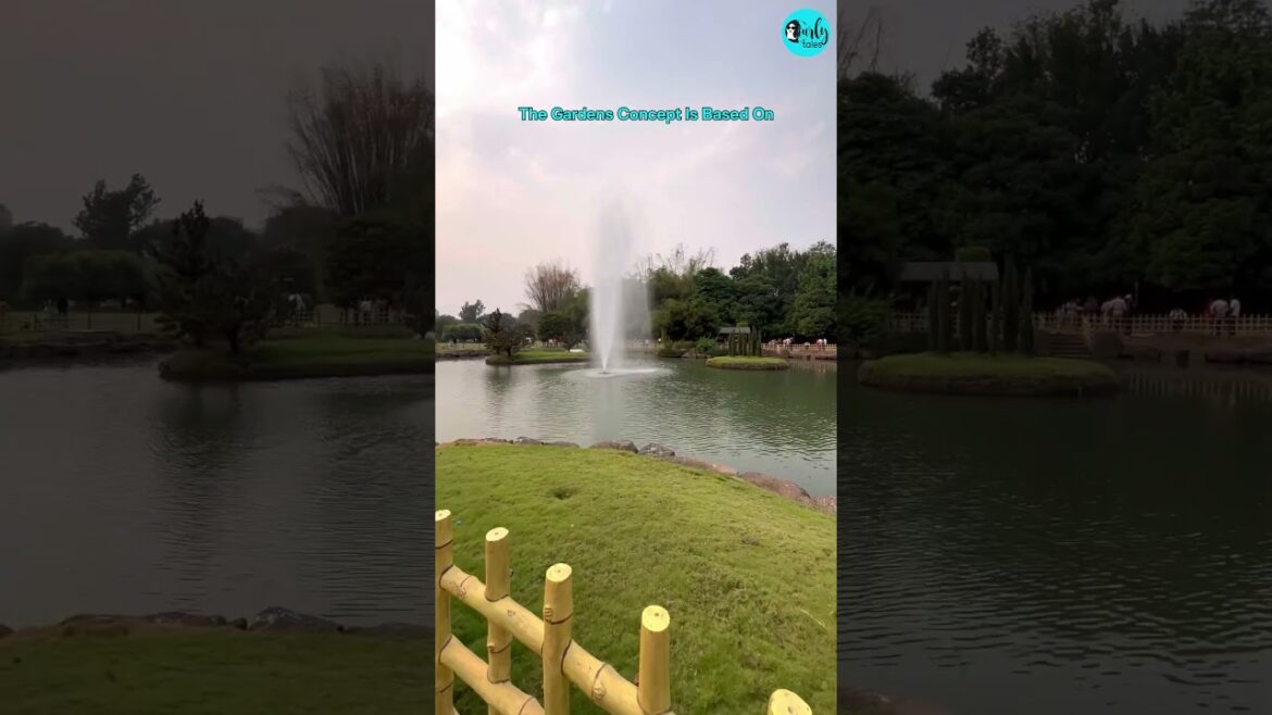 This Is Pune’s Biggest Japanese Garden | Curly Tales #shorts This Is Pune’s Biggest Japanese Garden | Curly Tales #shorts