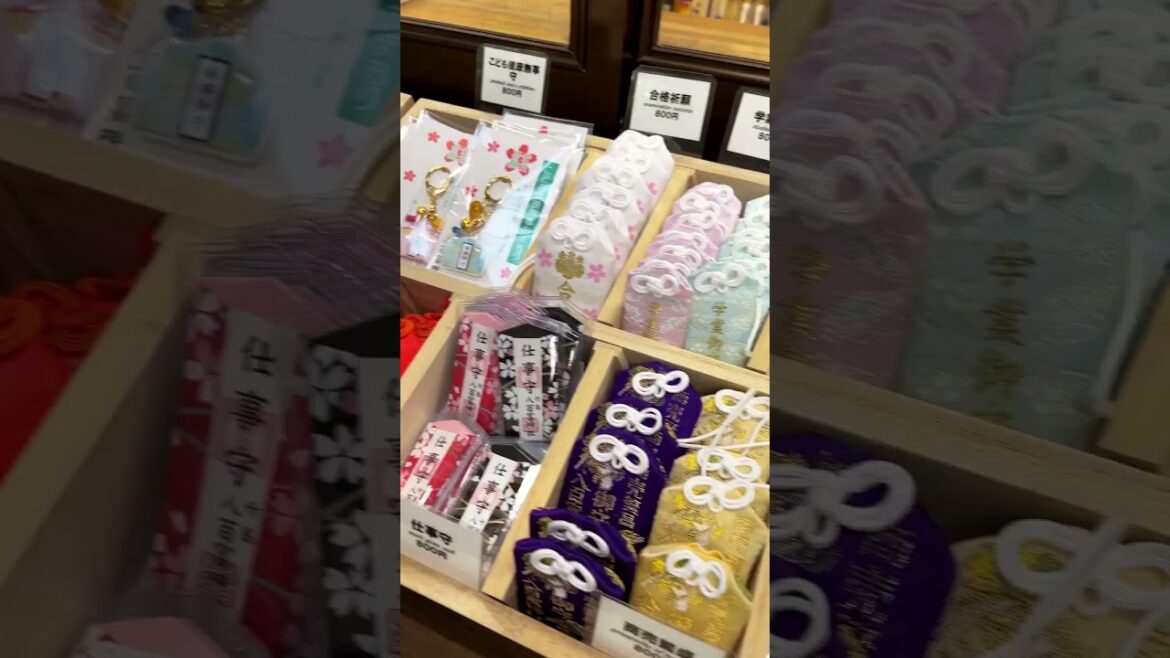 #short #japan #japanese #shorts #travel #vacation #explore #globetrotter #monde #voyage