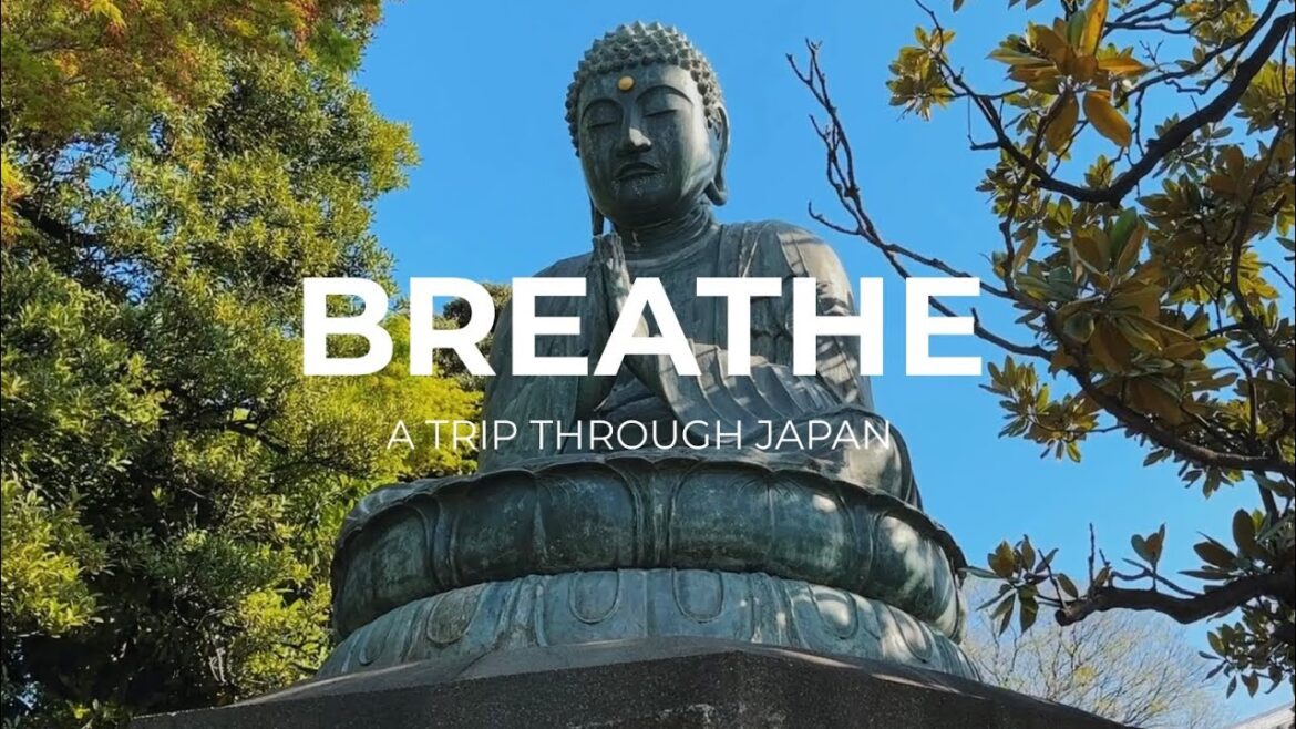 Passing through Japan (Tokyo, Osaka, Kyoto) | Odesza Falls | iPhone Cinematic