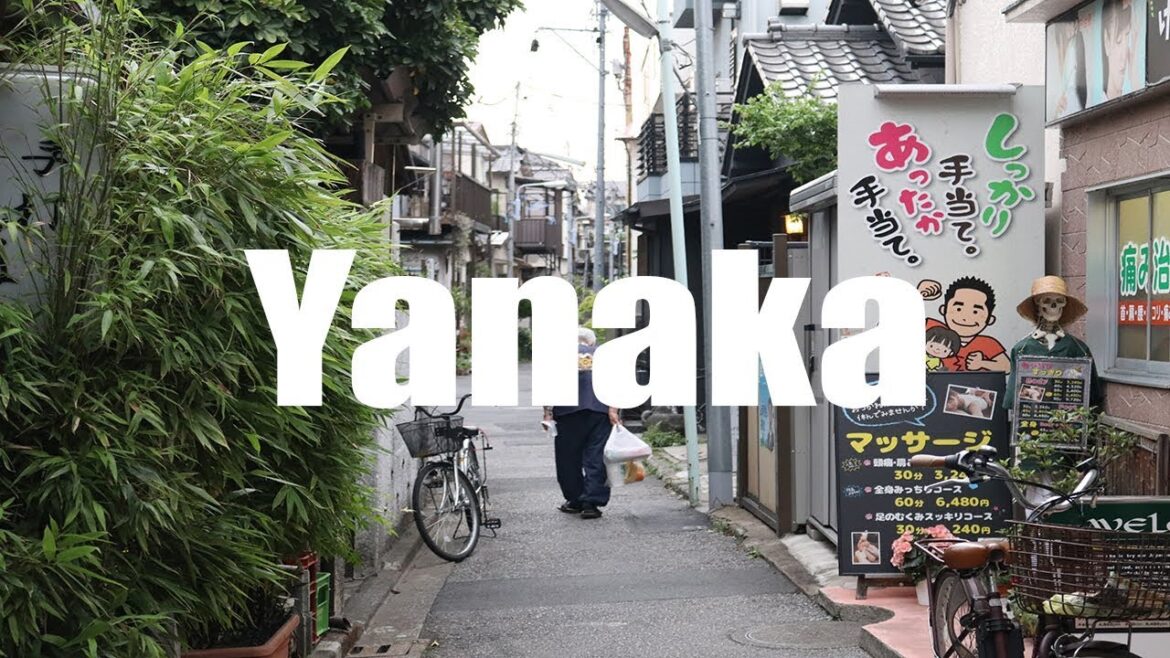 Yanaka, Tokyo, Japan, 谷中 – Canon 80D – Virtual Trip Yanaka, Tokyo, Japan, 谷中 - Canon 80D - Virtual Trip