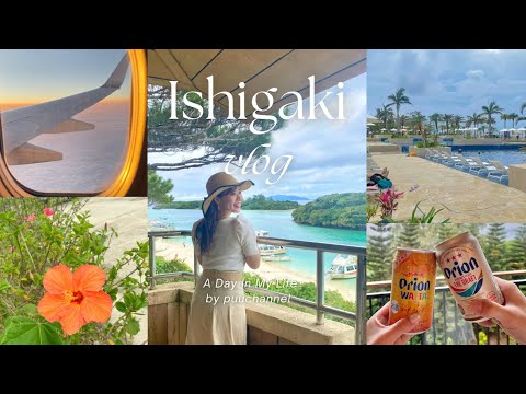 【沖縄vlog】4泊5日の石垣島旅行✈️🌊おすすめグルメ/ホテル/観光/ 【沖縄vlog】4泊5日の石垣島旅行✈️🌊おすすめグルメ/ホテル/観光/