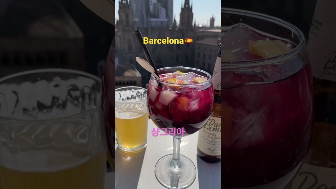 바르셀로나 오픈런 해야할 인생샷 맛집 드론샷 촬영?!루프탑 bar I 스페인여행 I 상그리아 I 바르셀로나대성당 I 스페인 고딕지구 I 유럽여행 I spaintrip  / 호텔콜론