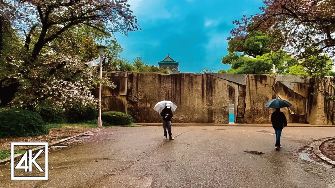 雨の大阪城を散歩 [4K] Walking Osaka Castle in the rain