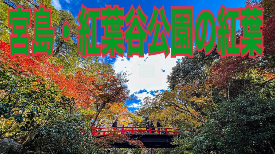 【iphoneで撮影】宮島・紅葉谷公園の紅葉/2021年11月13日