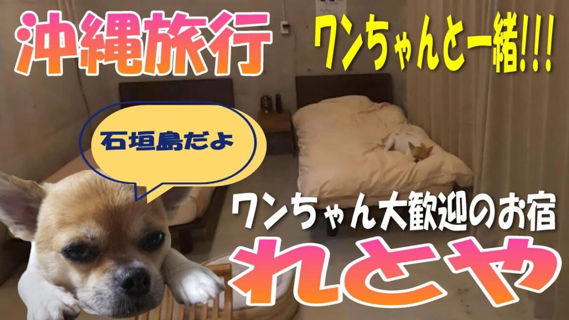 【石垣島】【れとや】【沖縄旅行】【ホテル】【ペット可】静かな白保の宿 【石垣島】【れとや】【沖縄旅行】【ホテル】【ペット可】静かな白保の宿