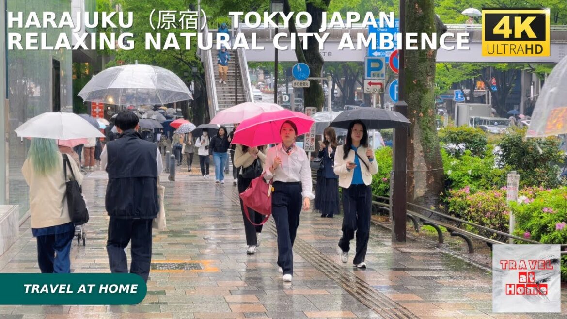 4k hdr japan travel | Rainy day Walk in Harajuku（原宿）Tokyo japan |  Relaxing Natural City ambience