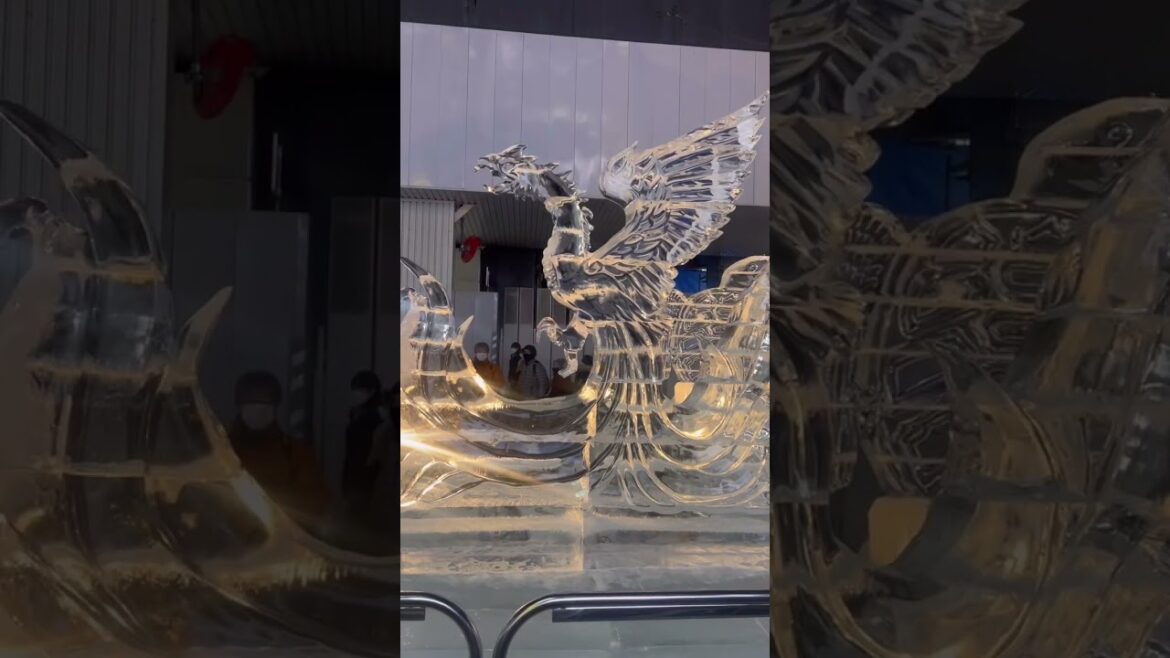 Hokkaido Winter Wonderland