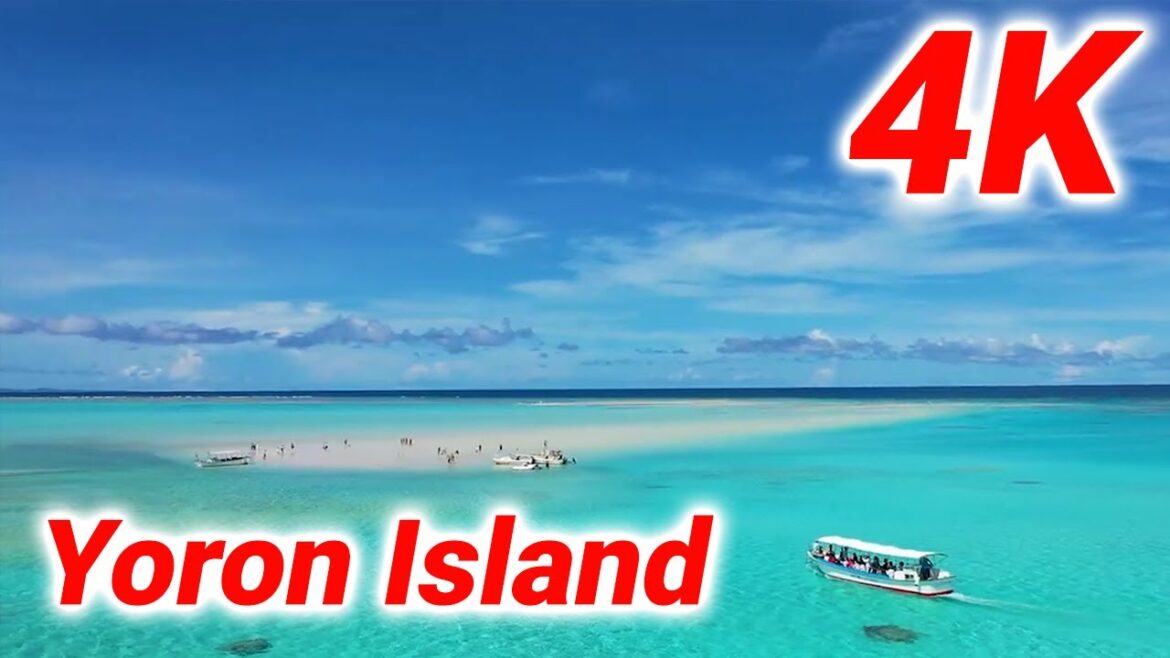 Let's go around each beach of Yoron Island and enjoy the beautiful scenery of Yoron Blue together.