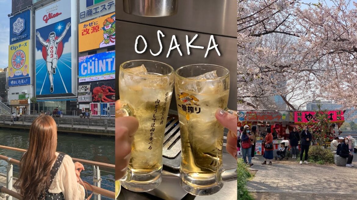 Vlog. ์ผ๋ณธ์ฌํ1 ๐ฏ๐ต | ์ค์ฌ์นด์ฌํ | ๋ฒ๊ฝ ๋ง๊ฐํ ์ค์ฌ์นด์ฑ | ์ผํค๋๊พธ๋ง์ง | ์ค์๋ง์ง | ์ผ๊ฒฝ์ ์ญ์ ํ
ํ์ด๋ธ | ์ฃผ์ฐํจ์ค ์๋ น๋ฐฉ๋ฒ Vlog. ์ผ๋ณธ์ฌํ1 ๐ฏ๐ต | ์ค์ฌ์นด์ฌํ | ๋ฒ๊ฝ ๋ง๊ฐํ ์ค์ฌ์นด์ฑ | ์ผํค๋๊พธ๋ง์ง | ์ค์๋ง์ง | ์ผ๊ฒฝ์ ์ญ์ ํ
ํ์ด๋ธ | ์ฃผ์ฐํจ์ค ์๋ น๋ฐฉ๋ฒ