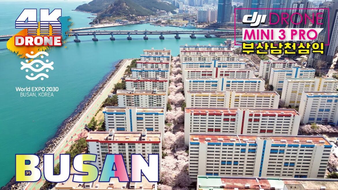 4K๐ฐ๐ท DRONE FOOTAGE ์ด์ ์จ ๋ด๐ธ ๋ถ์ฐ์ด๋ค ๊ทธ ์ ๋ช
ํ ๐ธ๋จ์ฒ ์ผ์ต ๐ธ ๋ฒ๊ฝํฌ์ด๐ธ ํญ๊ณต๋ทฐ ๋๋ก ์ท ๋ถ์ฐ ๋ฒ๊ฝ๋ช
์ CHERRY BLOSSOM TOUR BUSAN KOREA 4K๐ฐ๐ท DRONE FOOTAGE ์ด์ ์จ ๋ด๐ธ ๋ถ์ฐ์ด๋ค ๊ทธ ์ ๋ช
ํ ๐ธ๋จ์ฒ ์ผ์ต ๐ธ ๋ฒ๊ฝํฌ์ด๐ธ ํญ๊ณต๋ทฐ ๋๋ก ์ท ๋ถ์ฐ ๋ฒ๊ฝ๋ช
์ CHERRY BLOSSOM TOUR BUSAN KOREA