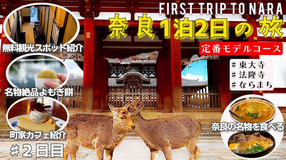 【2023奈良旅行】奈良の名物を食べながら有名観光スポットを巡る旅。奈良初心者が行く1泊2日モデルコース奈良2日目 法隆寺/東大寺 【2023奈良旅行】奈良の名物を食べながら有名観光スポットを巡る旅。奈良初心者が行く1泊2日モデルコース奈良2日目 法隆寺/東大寺