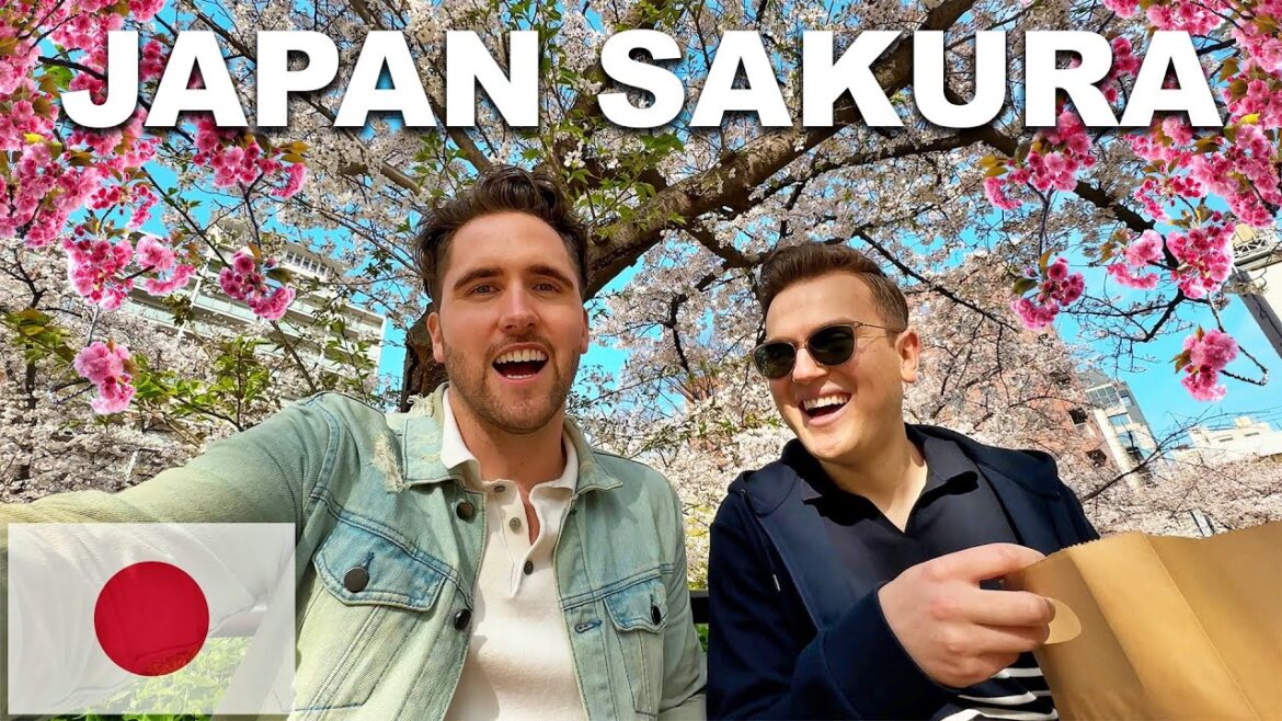 We FINALLY Went Back To JAPAN