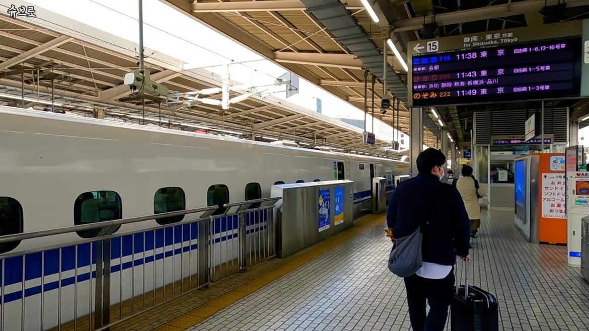 나고야에서 도쿄역ㅣ일본 히카리 그린카 열차 여행 [일본8] 14,470엔 #asmr