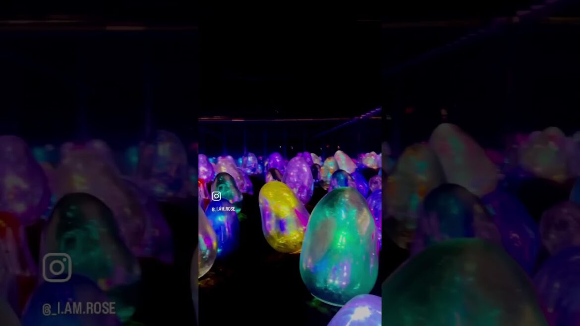 Come with me to #teamLabPlanets TOKYO 🌺🌸🌼 #tokyo #travel