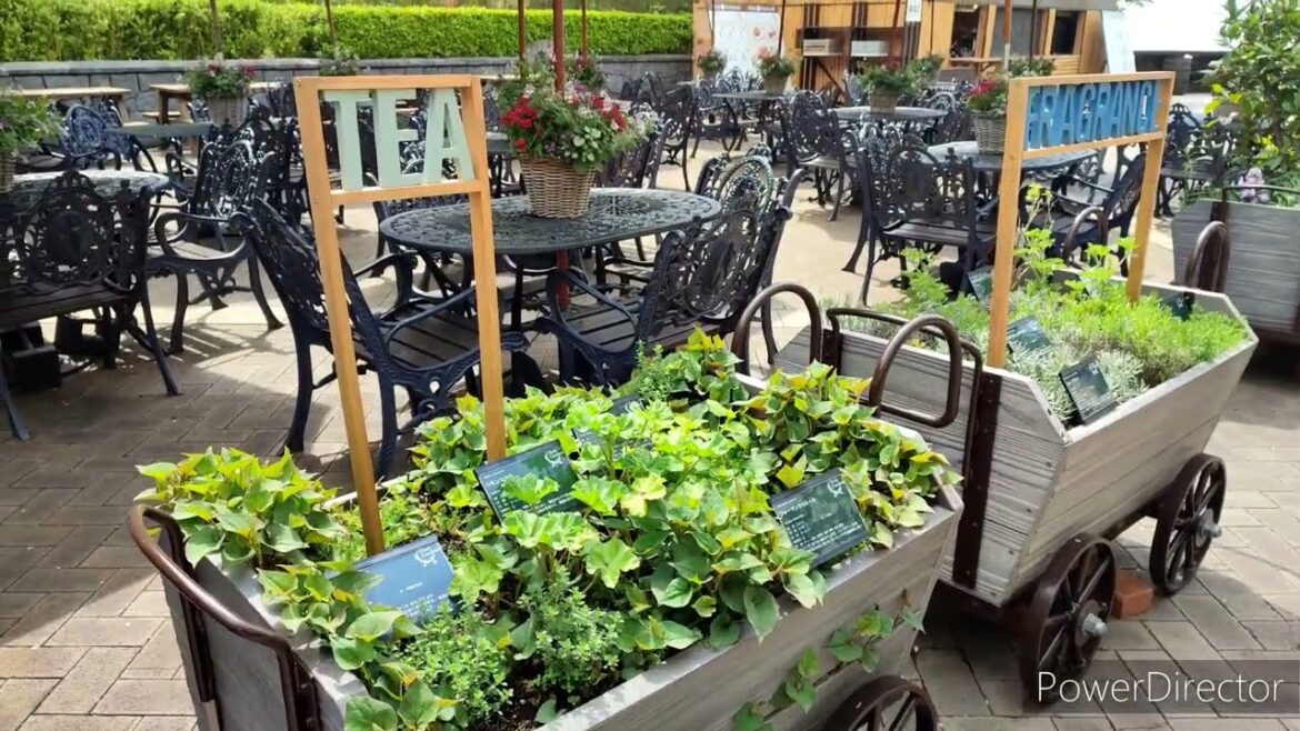 【神戸市】Une journée à KOBE (partie 1) 🌼