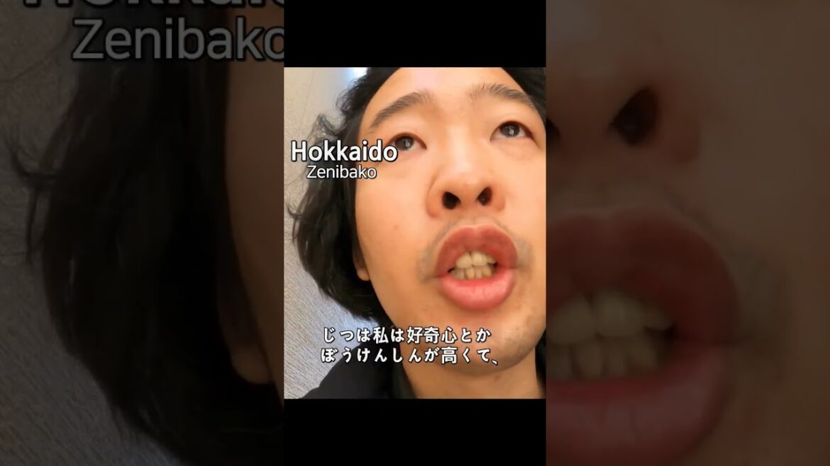 廃家 私には美しい芸術作品のように見えます