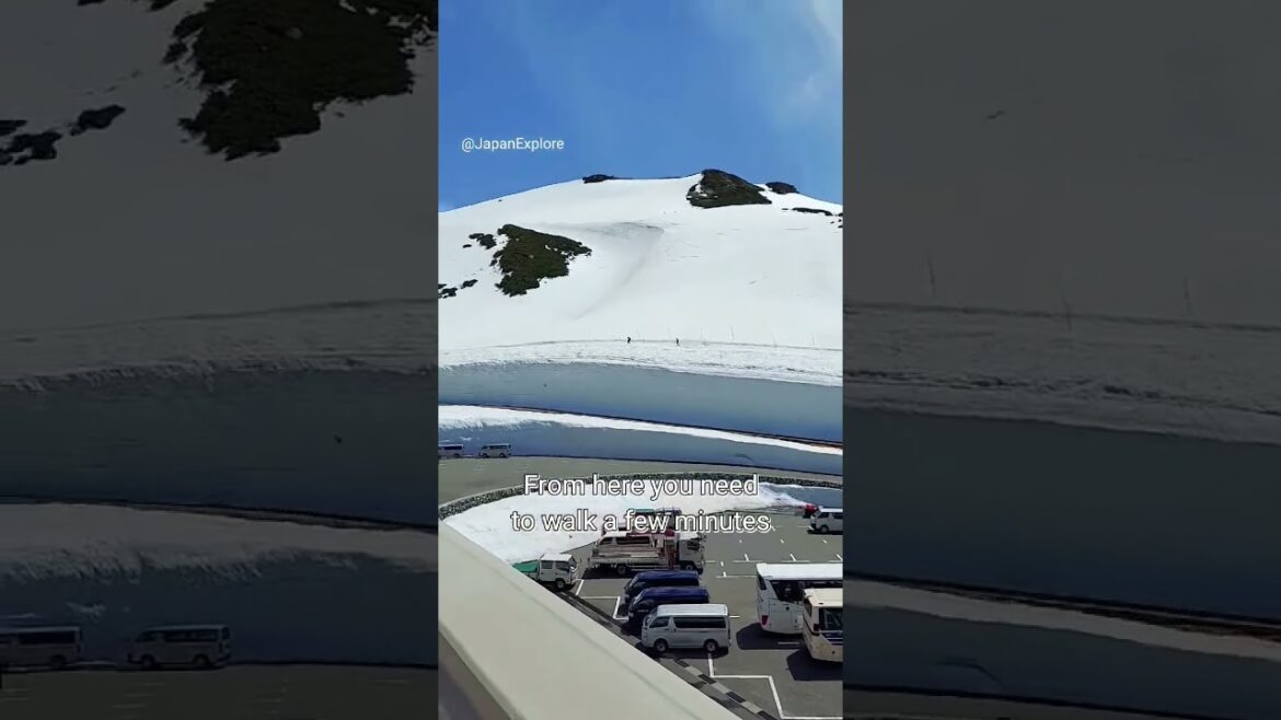 How To Go at Tateyama Kurobe Alpine Route 💕🇯🇵