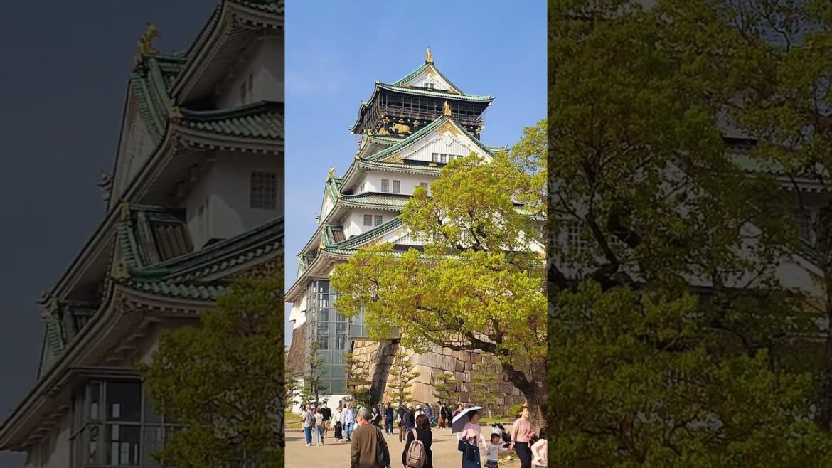 Osaka Castle Japan