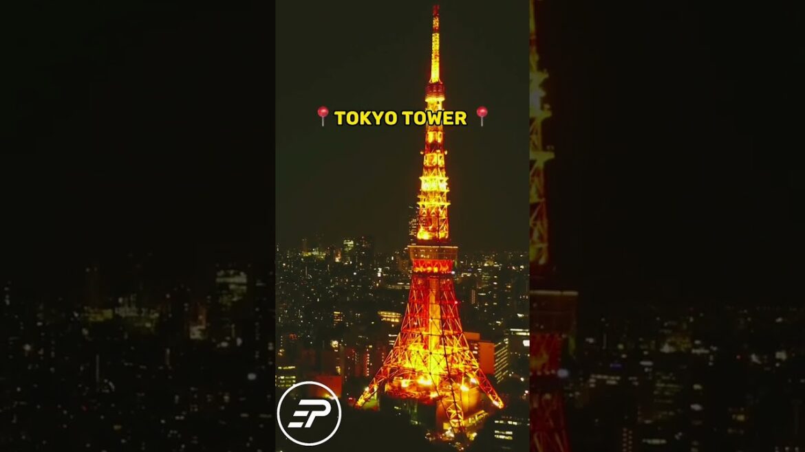 The Most BEAUTIFUL Places in Tokyo Japan #travel #traveltips #shorts The Most BEAUTIFUL Places in Tokyo Japan #travel #traveltips #shorts