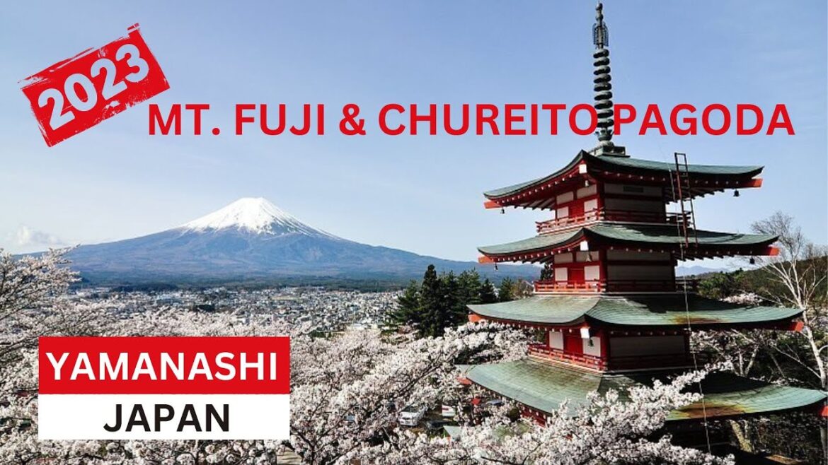 MT FUJI | CHUREITO PAGODA VIEW [4K] | YAMANASHI, JAPAN | JAPAN TRAVEL VLOG | MAMUN CHOWDHURY