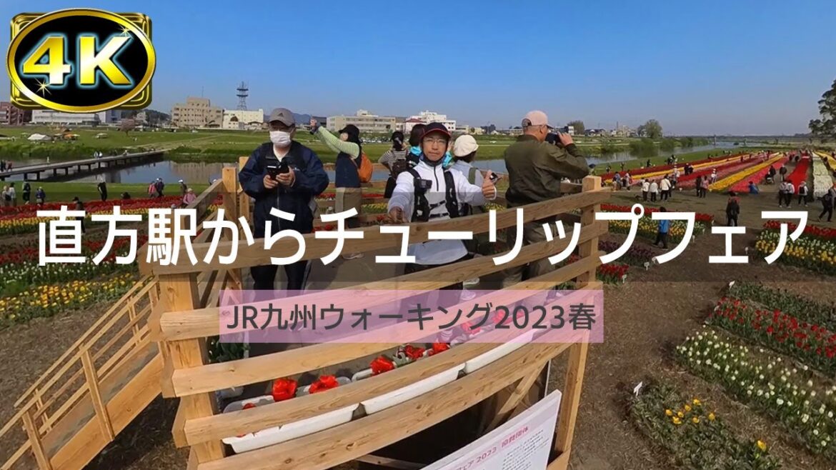 【2023年4月】JR九州ウォーキング2023春 のおがたのチューリップ鑑賞ウォーキング 前篇【4K】