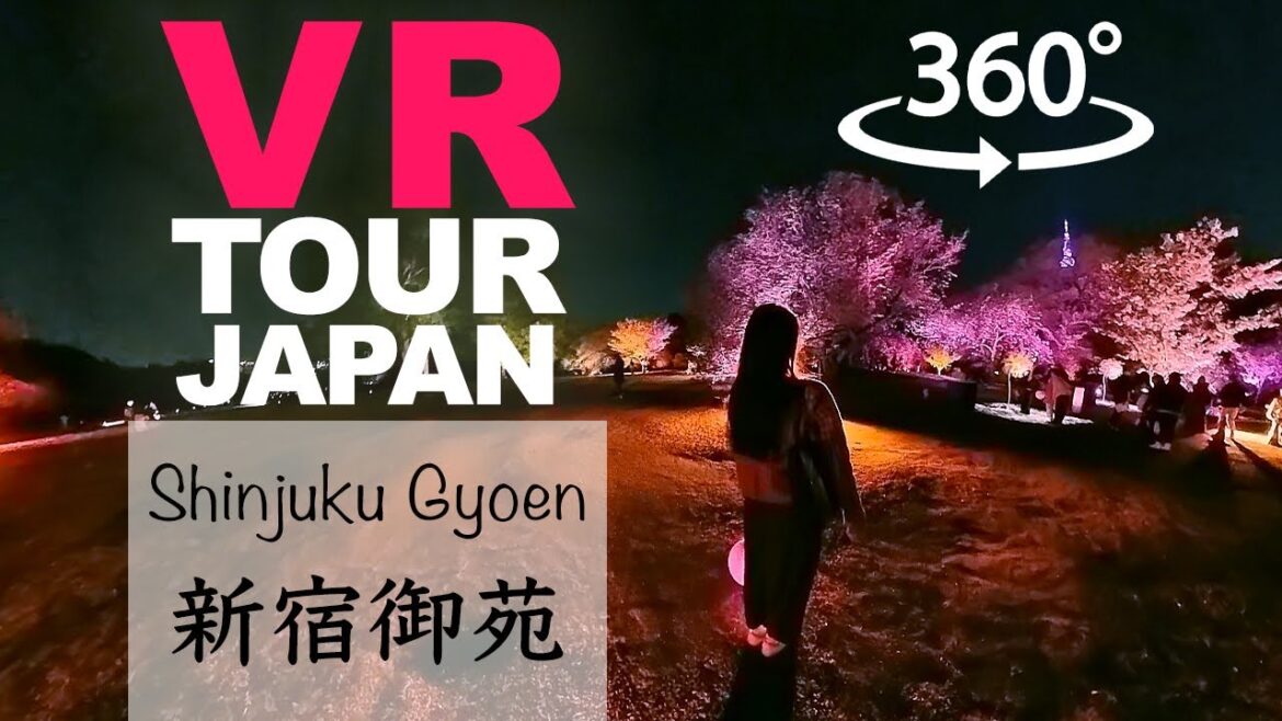 【Insta360 X3】skillism VR/360 – Shinjuku Gyoen, TOKYO / NAKED’s Sakura Night Garden / Cherryblossom 【Insta360 X3】skillism VR/360 - Shinjuku Gyoen, TOKYO / NAKED's Sakura Night Garden / Cherryblossom