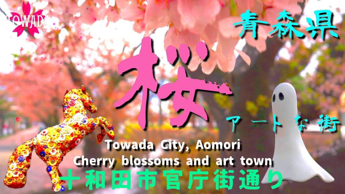 桜吹雪「十和田市官庁街通り」アートな街 青森県Sakurafubuki "Towada City Kanchogai Street" Art Town Aomori Prefecture
