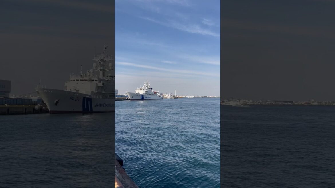 Yokohama vista maravilhosa! 💙🫰🏻#shorts #yokohama #japan