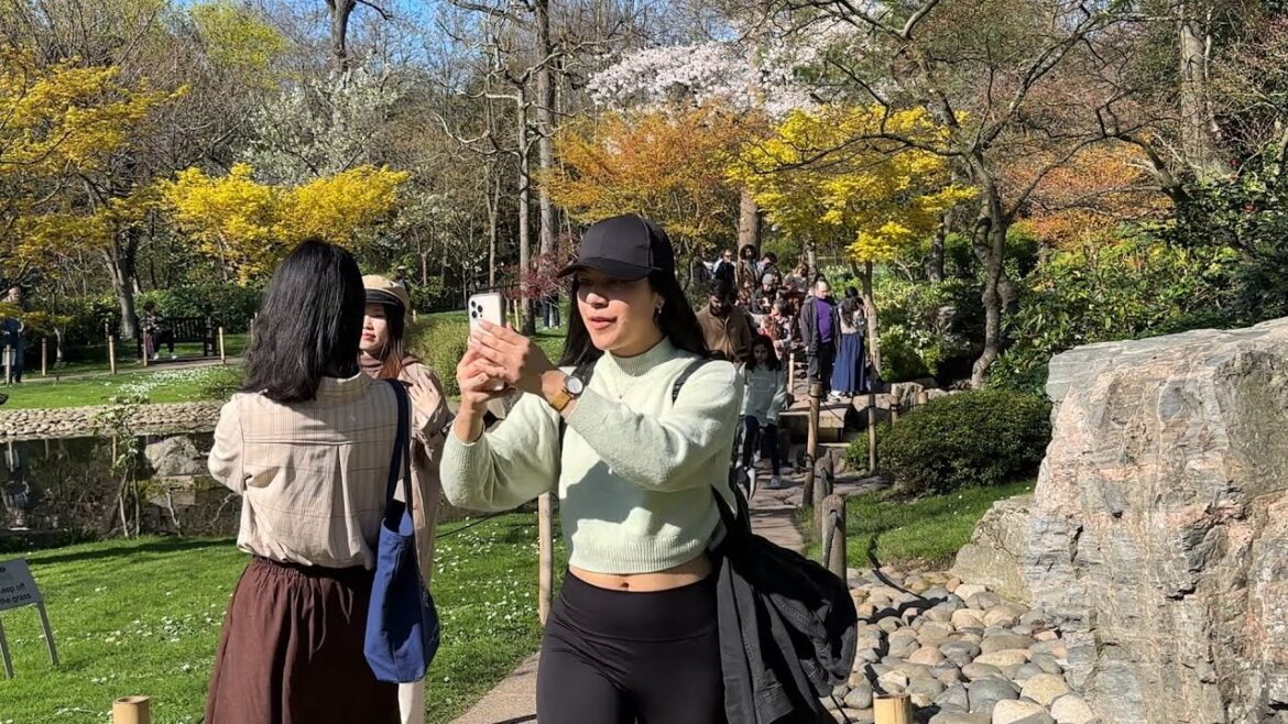 π¬π§ WEST LONDON WALKING TOUR, STUNNING HOLLAND PARK DURING SPRING, KYOTO GARDEN, LONDON ROYAL PARK π¬π§ WEST LONDON WALKING TOUR, STUNNING HOLLAND PARK DURING SPRING, KYOTO GARDEN, LONDON ROYAL PARK